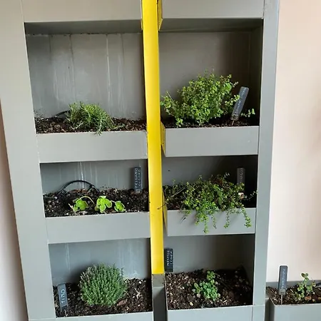 Cortirola Luxury Apartment